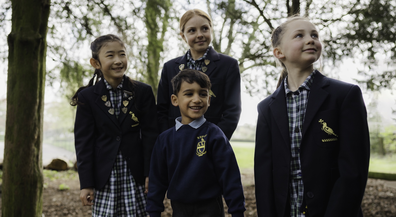 OriginalImage,Original,stakeholder-masthead