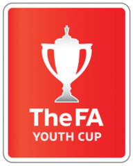 OptimizedImage,Optimized