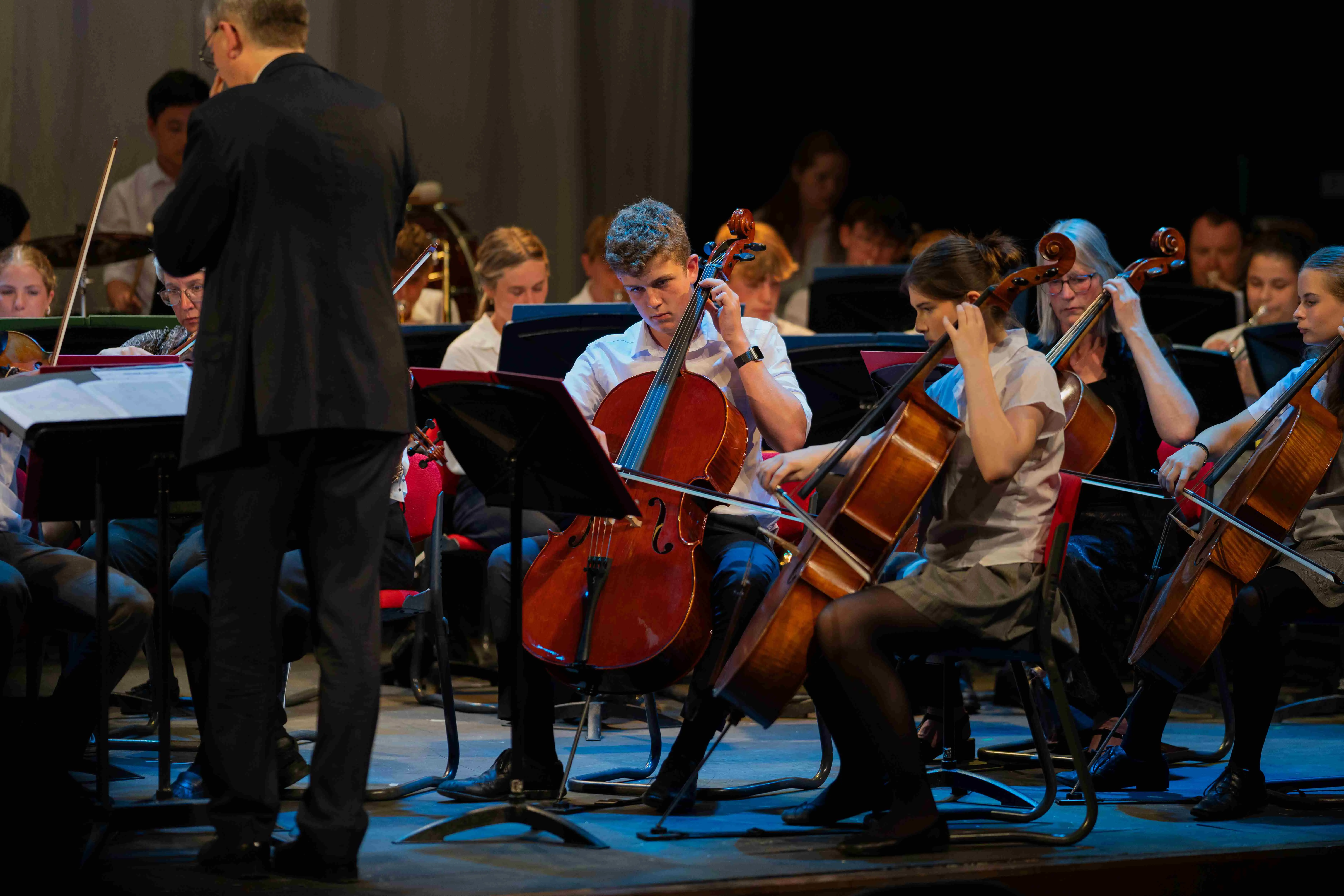 OptimizedImage,Optimized