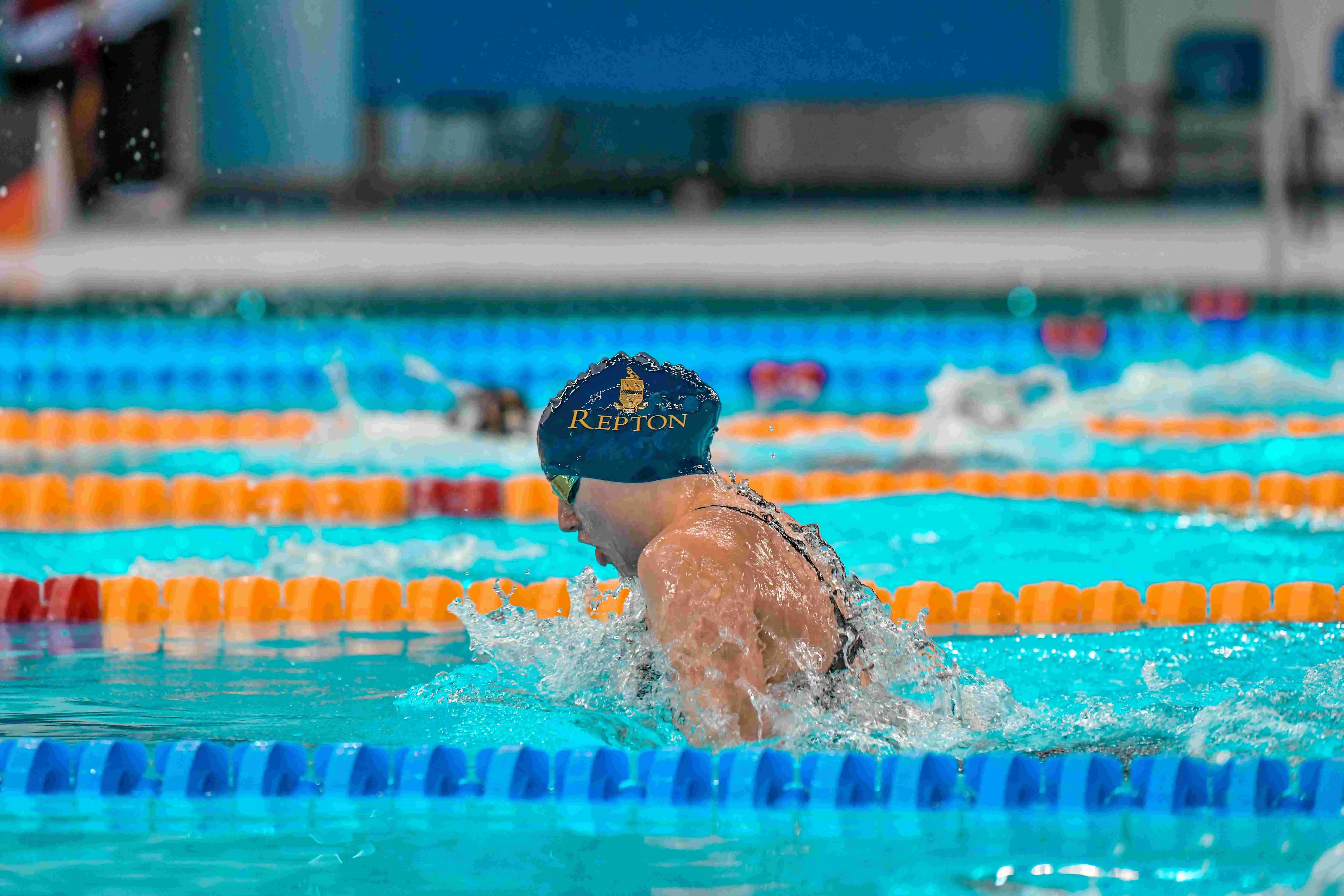  OptimizedImage,Optimized