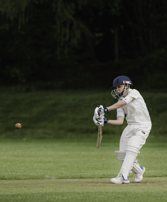 Prep Cricket